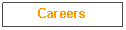 Text Box: Careers
